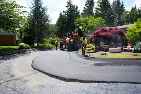 Best Driveway Snow Removal Preparation  in Shoreview, MN